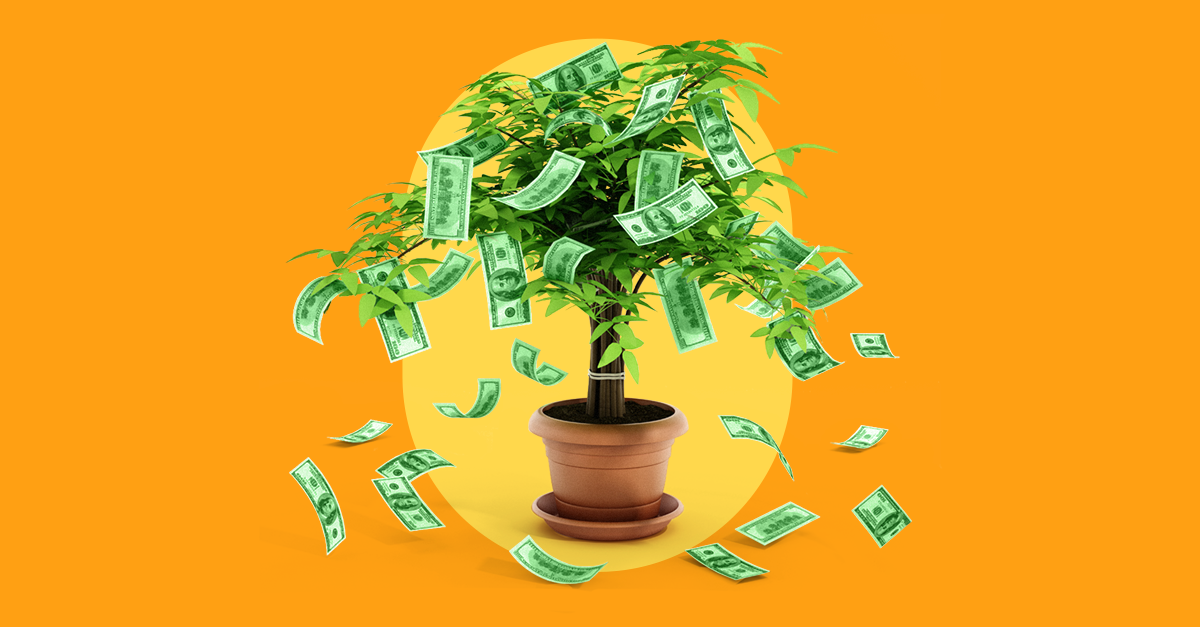 A money tree with money falling from its leaves on a yellow and orange background